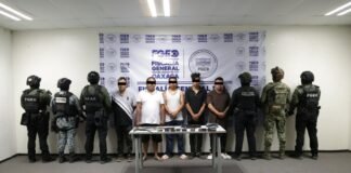 Nueve cateos y cinco detenidos, contra redes vinculadas a ASAEO en Xoxo y Cuilápam: Fiscalía de Oaxaca
