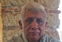 GUSANO BARRENADOR TAMBIÉN AFECTA A PERROS CALLEJEROS EN OAXACA; AUTORIDADES PIDEN REPORTAR CASOS