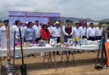 ¡La tradición comienza desde la tierra! Arranca en Xoxocotlán la siembra de rábanos para la Noche de Rábanos