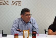 Oaxaca fortalece mercado interno y busca llevar productos locales a nuevos mercados