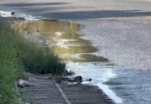 ¡ALERTA EN SANTA ROSA! FUGA DE AGUAS NEGRAS AFECTA A VECINOS Y ESCUELAS