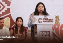 La transformación constitucional de Oaxaca se construye con la participación de sus pueblos: Tania Caballero