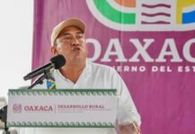 INVITA SENADOR NINO MORALES A JÓVENES DE OAXACA A INSCRIBIRSE A DIPLOMADOS GRATUITOS VINCULADOS AL CORREDOR INTEROCEÁNICO