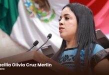Buscan reformar la Ley de Cultura Física y Deporte para fortalecer la accesibilidad, la inclusión y el desarrollo del deporte adaptado