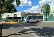 Detienen tres unidades de transporte urbano por no contar con verificación vehicular