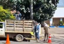 Rehabilita Ceabien y SOAPA red de drenaje sanitario en calzada Niños Héroes de Chapultepec